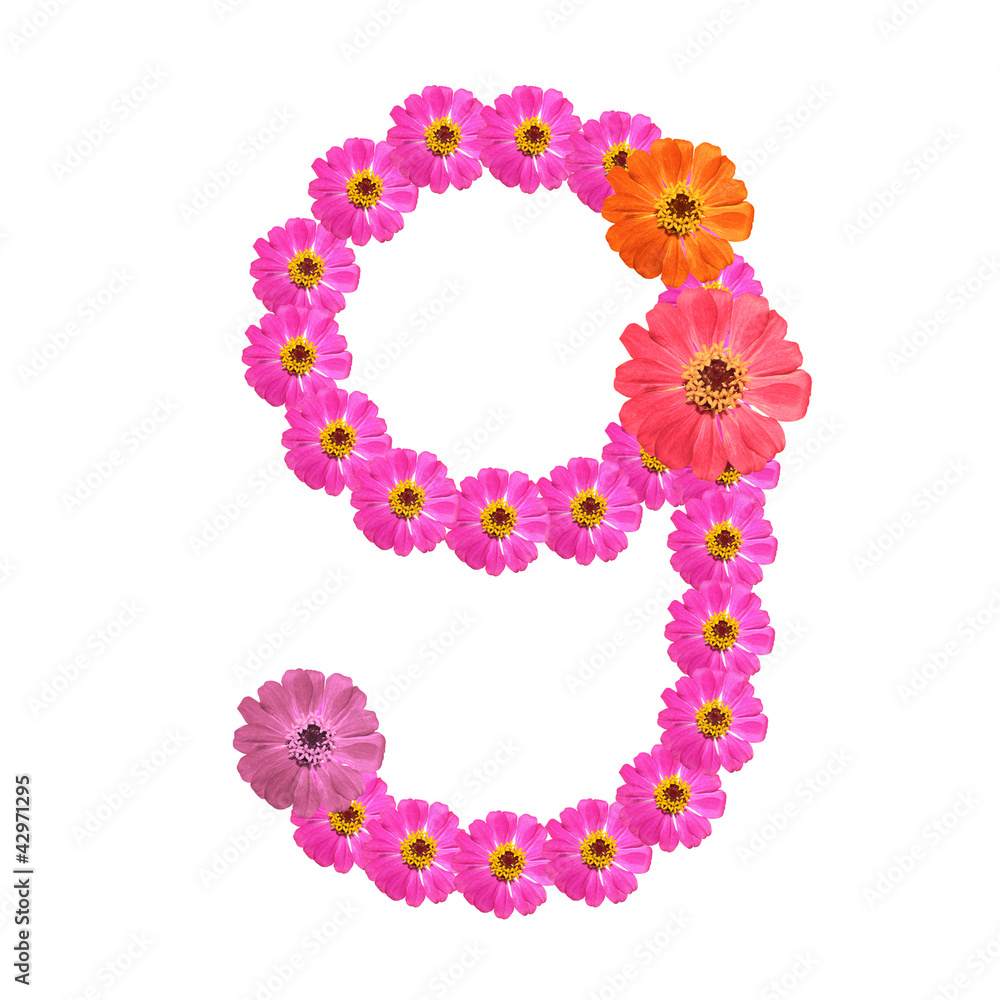 Flower number on isolate. Number nine