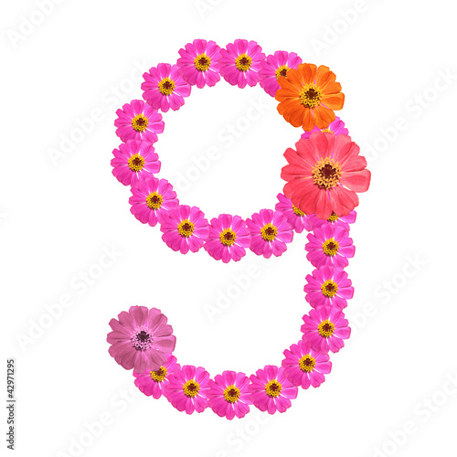 Flower number on isolate. Number nine