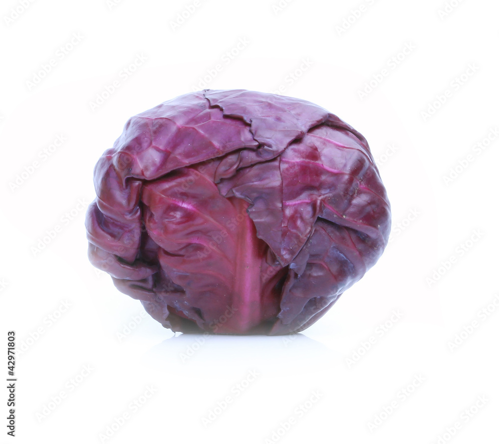 Fresh red cabbage vegetable Fresh red cabbage vegetable