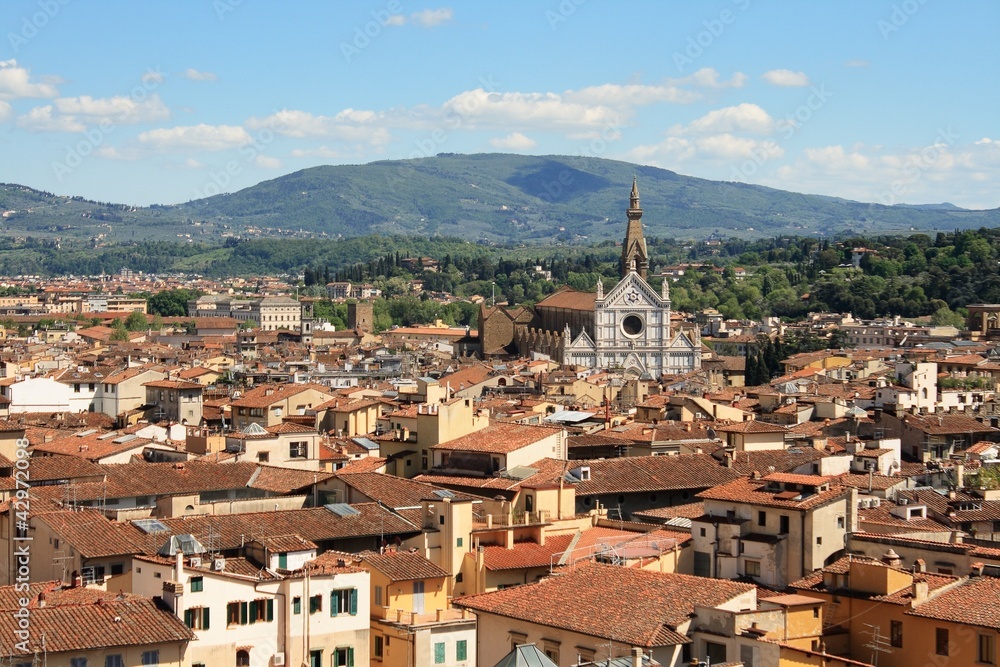 View of the  city of Florence and the Santa Croce