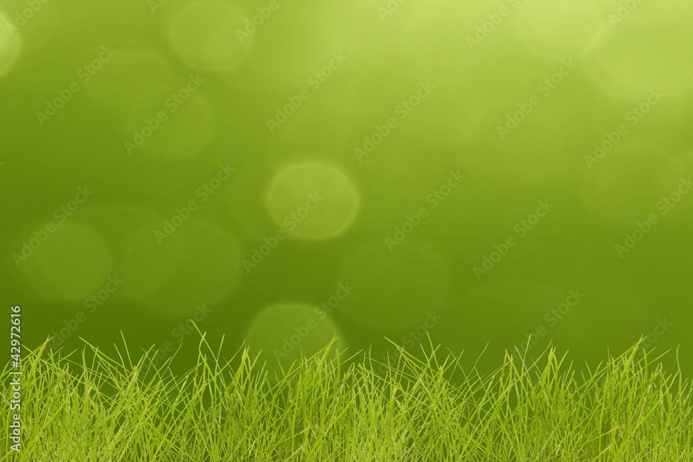 Obraz premium Grass on