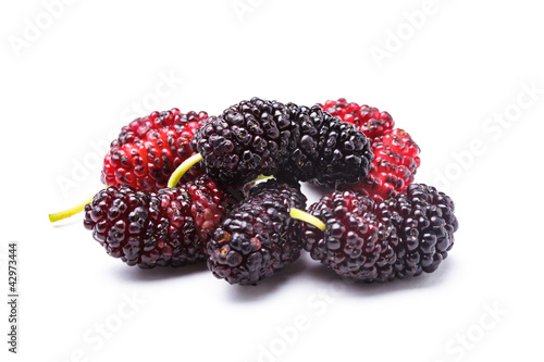 Mulberry berries
