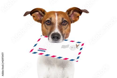 mail dog © Javier brosch