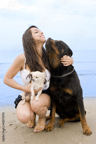 Fényképezés rotweiler, chihuahua et jeune femme sur la plage