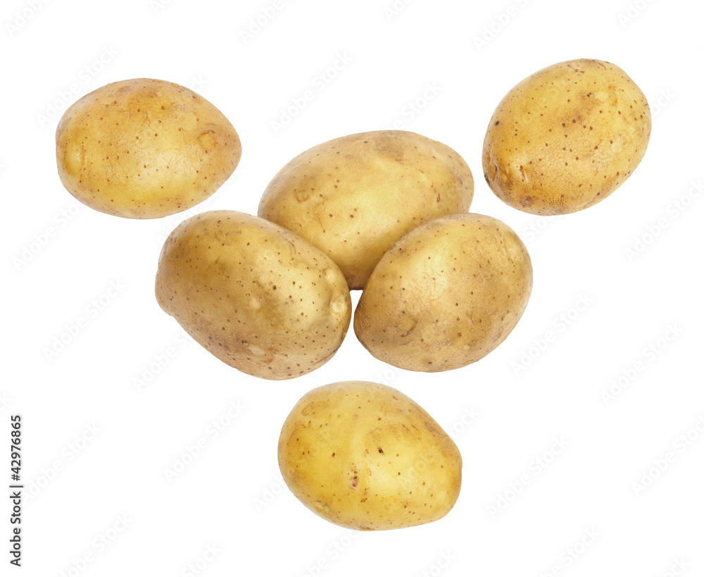 fresh and washed potatoes on white background fresh and washed potatoes on white background