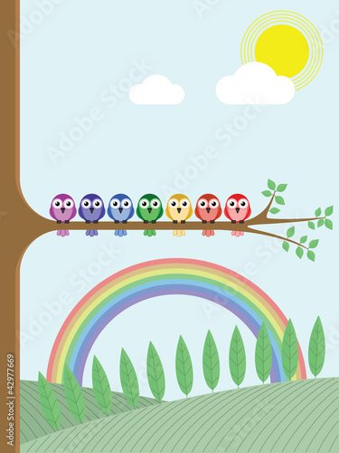 Rainbow colour birds sat on a tree branch