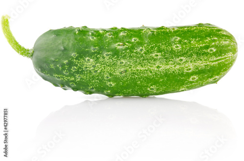 green cucumber isolated on white background