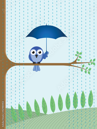 Bird sheltering from the rain sat on a tree branch