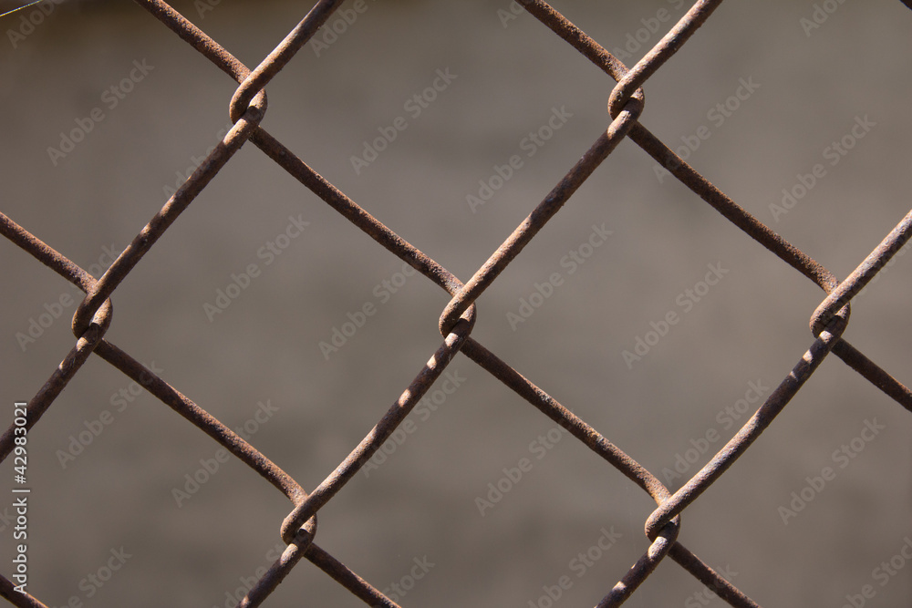 Fototapeta premium Rusty iron grid as a background