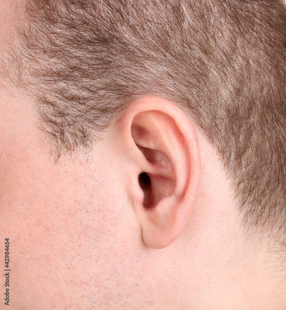 Obraz premium Human ear close-up isolated on white