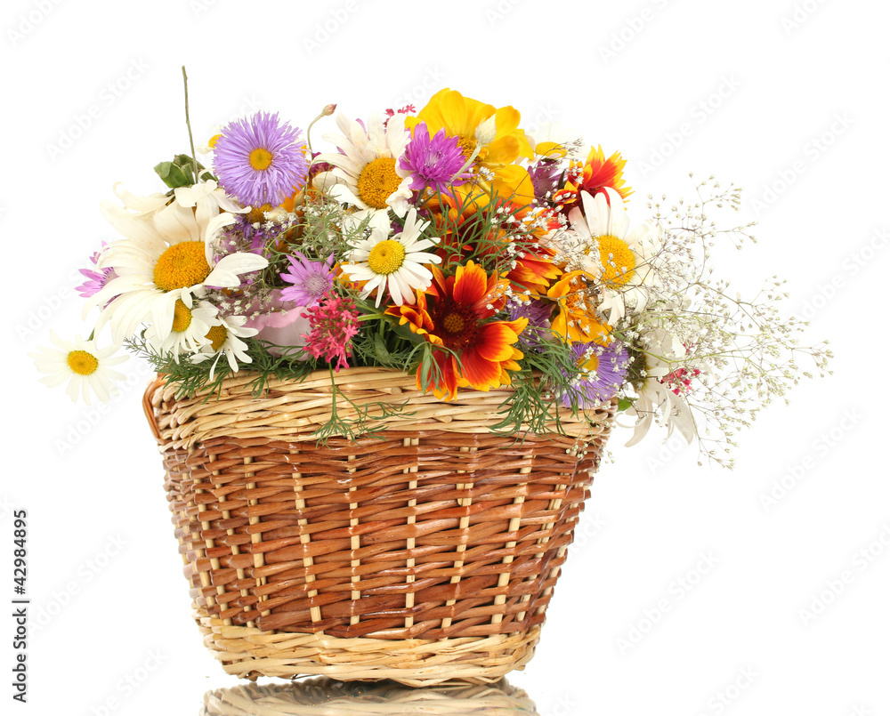 Fototapeta premium beautiful bouquet of bright wildflowers in basket, isolated