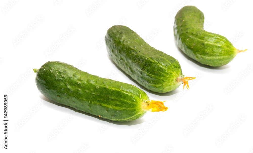 Fresh cucumbers on a white background Fresh cucumbers on a white background