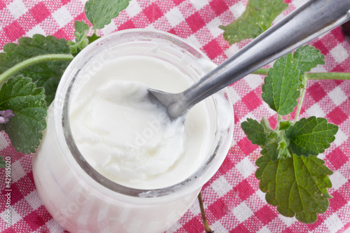 Yogurt cream