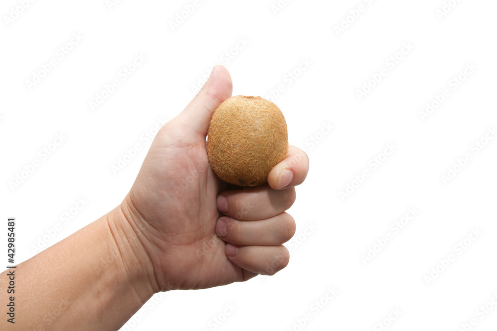 kiwi fruit in his hand on a white background