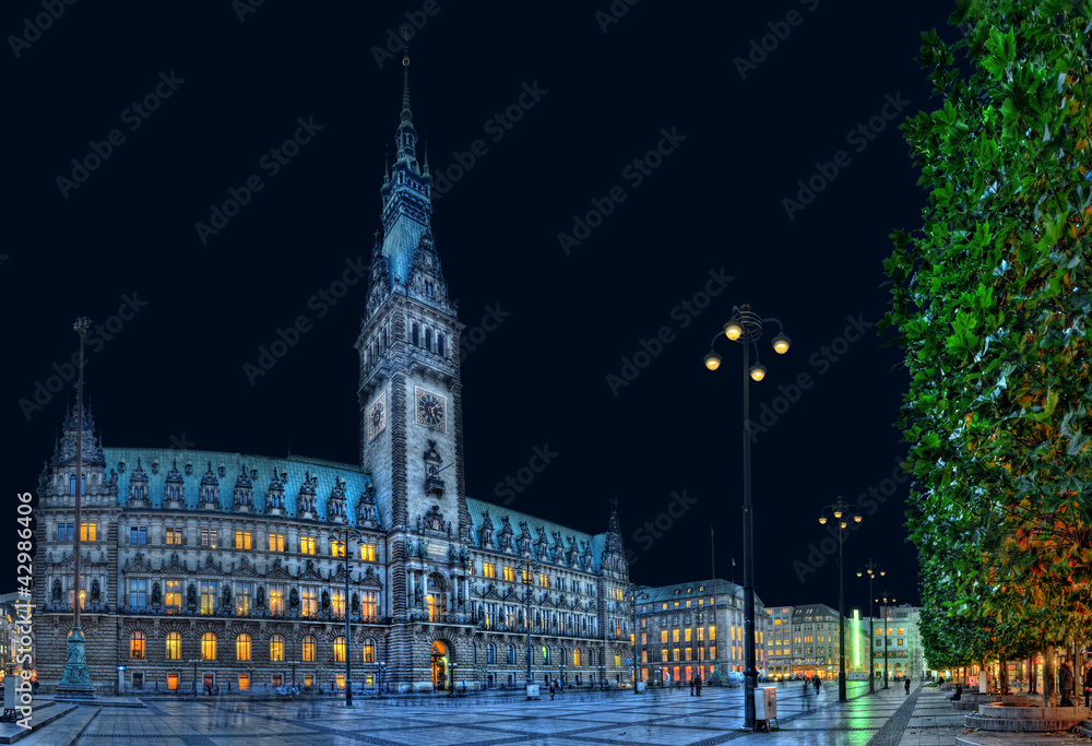 Fototapeta premium Hamburger Rathaus XXL
