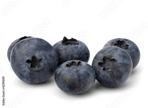Bilberries or whortleberries cutout