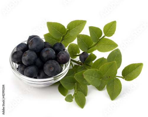 Fotografija Blue bilberry or whortleberry