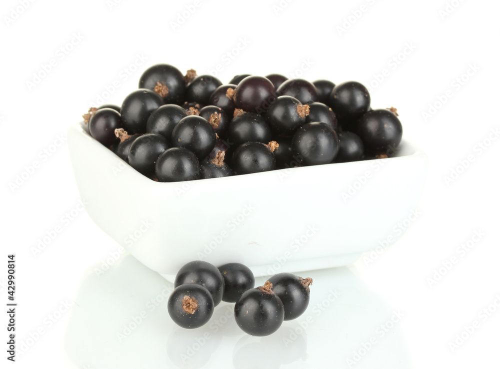 Fresh black currant in white bowl isolated on white Fresh black currant in white bowl isolated on white