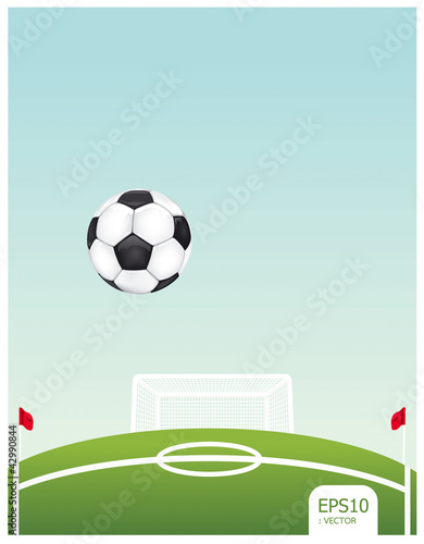 soccer ball on stadium vector