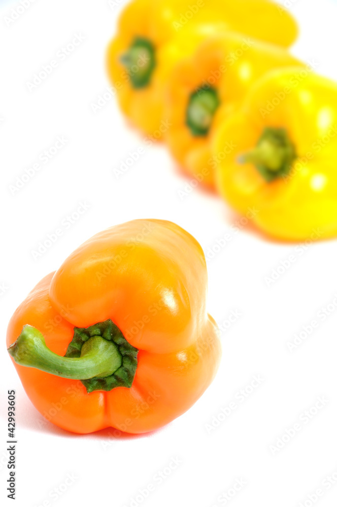 Colorful bell peppers Colorful bell peppers