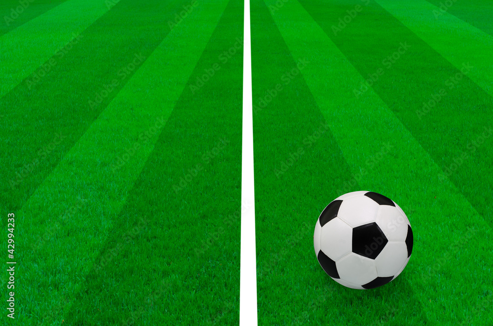 soccer ball on the green grass field soccer ball on the green grass field