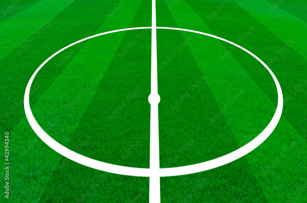 Obraz premium soccer ball on the green grass field