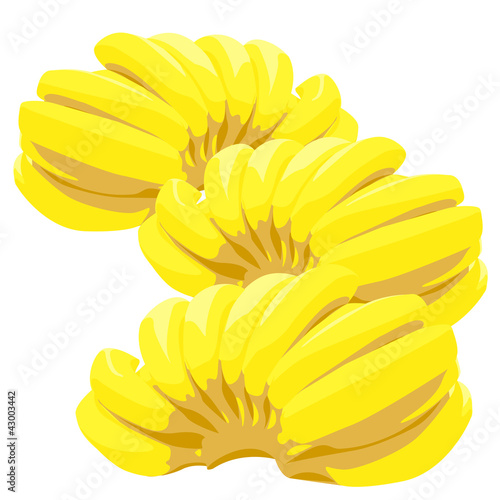 Φωτογραφία Three bunch of bananas isolated on white background
