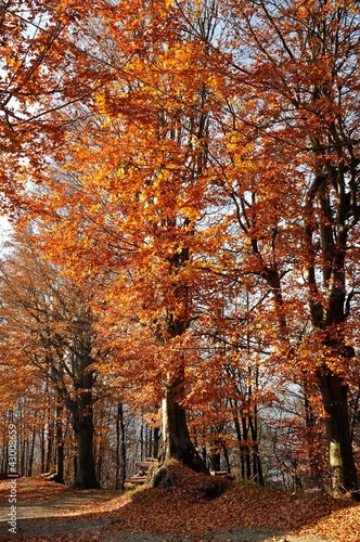 Autunno