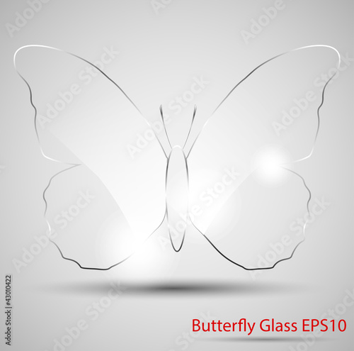 Butterfly glass