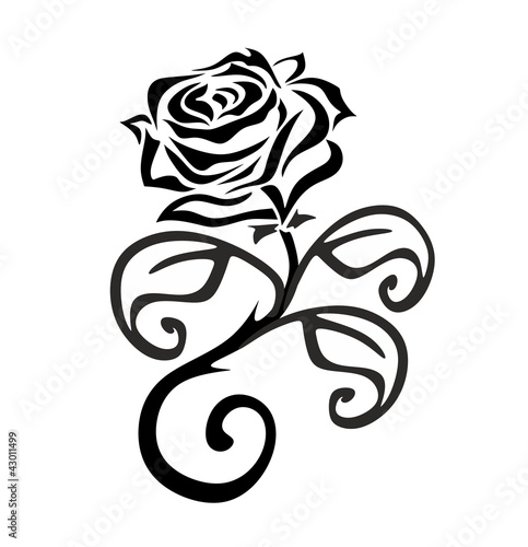 rose 6a