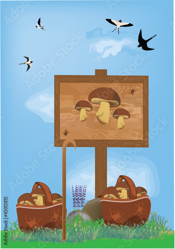 cartello funghi