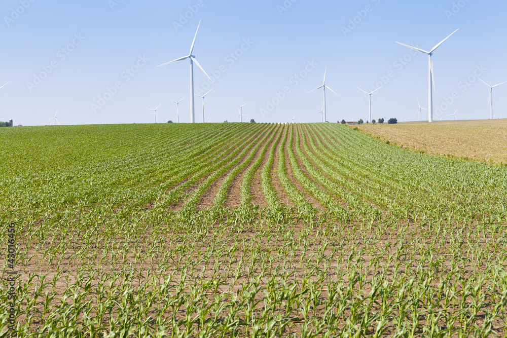 American Countryside With Windmill