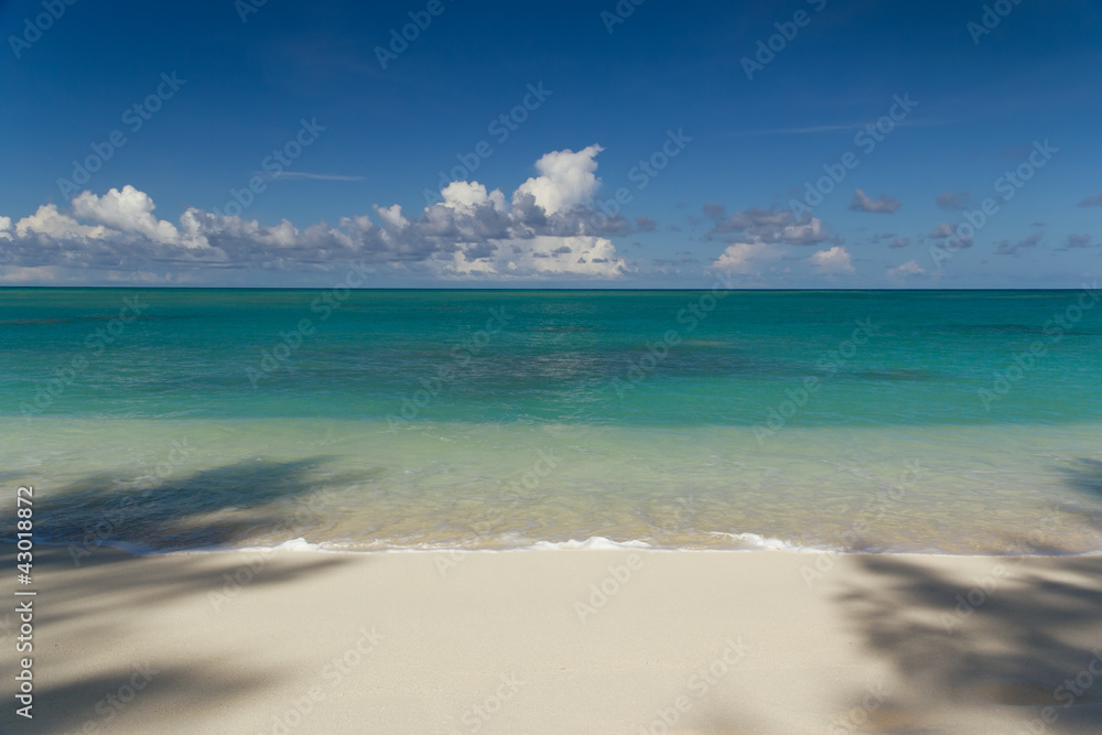 Obraz premium Tropical sandy beach at summer sunny day