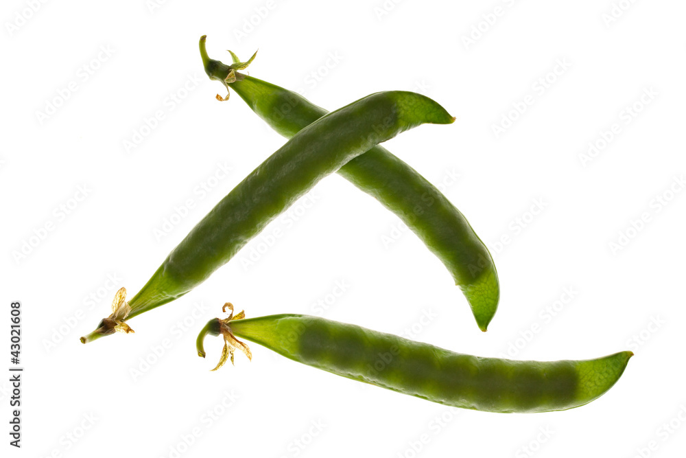 pod of peas pod of peas