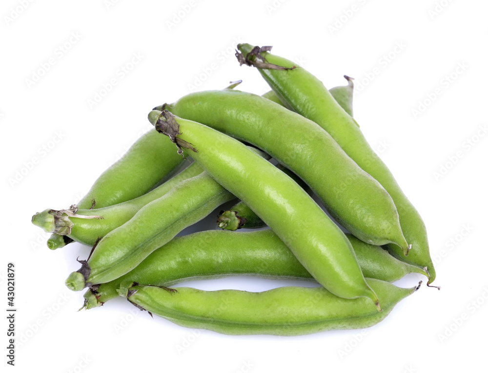bunch of broad beans on a white background . bunch of broad beans on a white background .