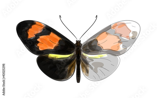 Butterfly Heliconius. Unfinished Watercolor drawing imitation.