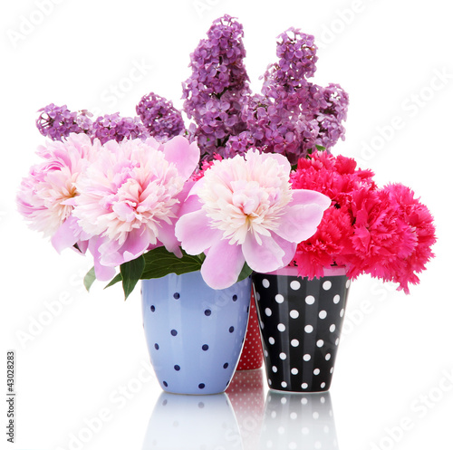 Fototapeta Naklejka Na Ścianę i Meble -  beautiful spring flowers in cups isolated on white