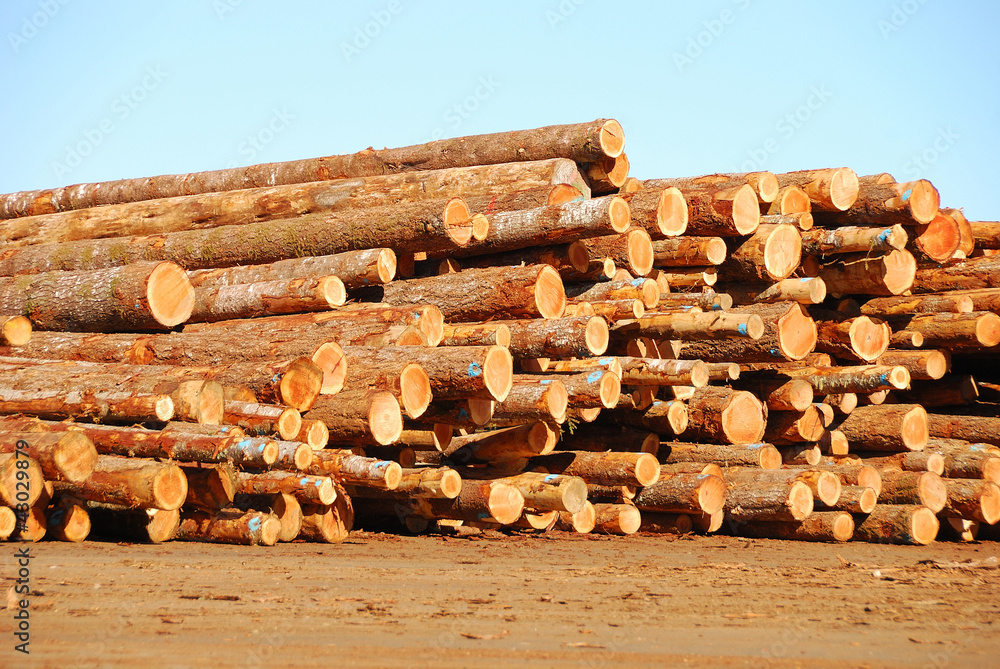 Log Deck Log Deck
