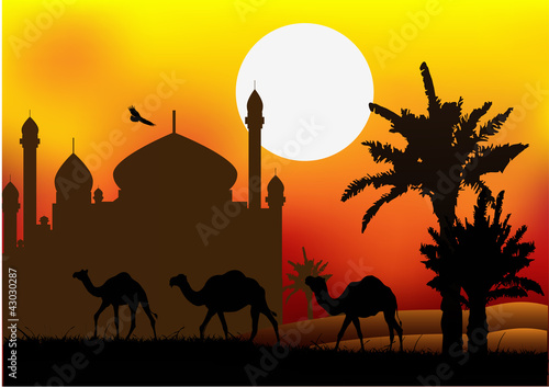 camel trip with mosque background