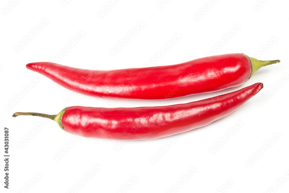 red hot chili peppers red hot chili peppers