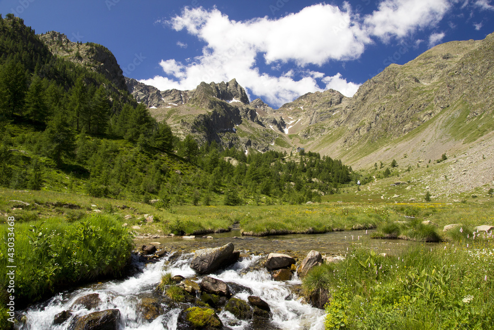 torrente alpino