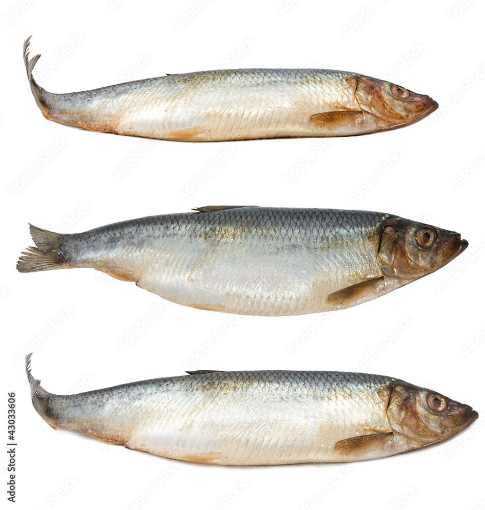 Raw herring food background close up. Raw herring food background close up.