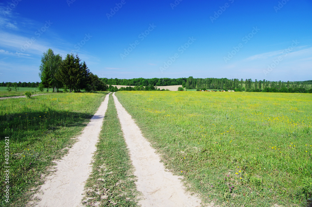 field field