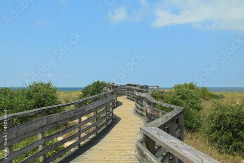 boardwalk to the beach © Michael