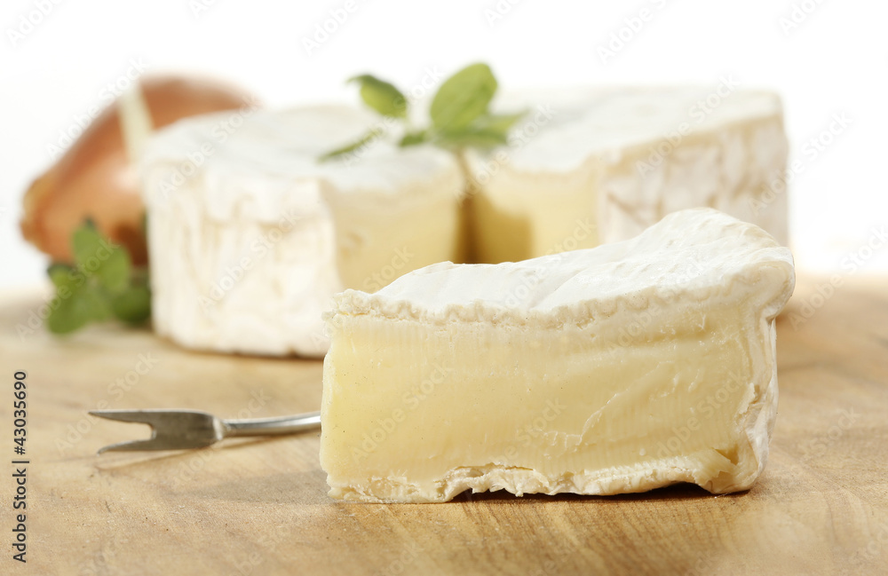 Camembert creamy cheese