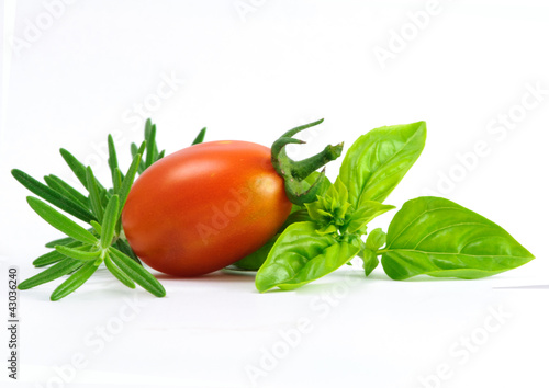 rosemary tomato basilicum