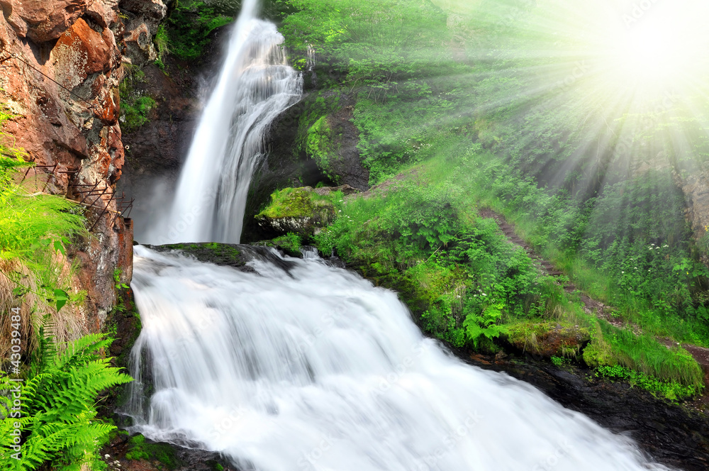 Fototapeta premium Waterfall of Cavalese,Val di Fiemme,Italy