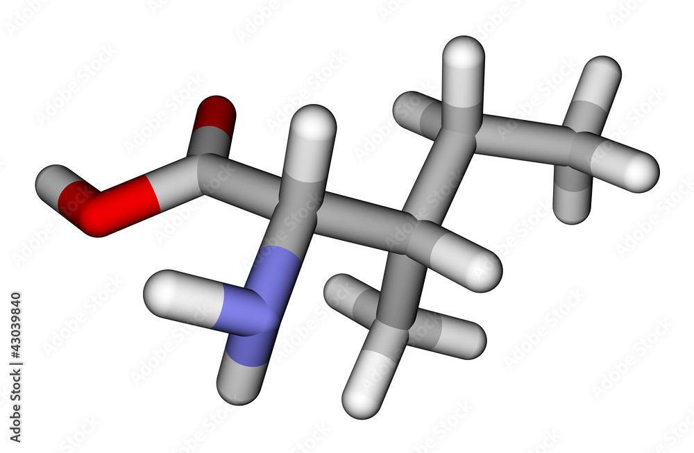 Essential amino acid isoleucine 3D molecular model