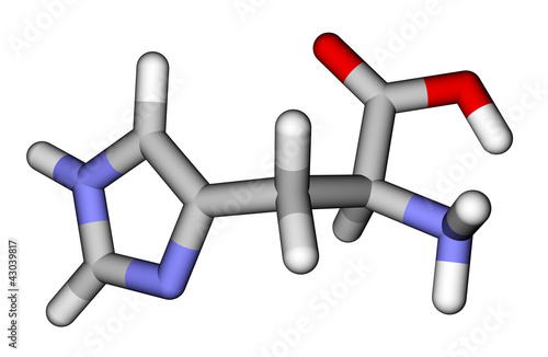 Essential amino acid histidine 3D molecular model