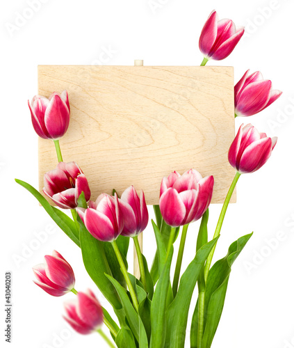 Fototapeta Naklejka Na Ścianę i Meble -  Beautiful Tulips and Empty Sign for message / wooden panel / iso